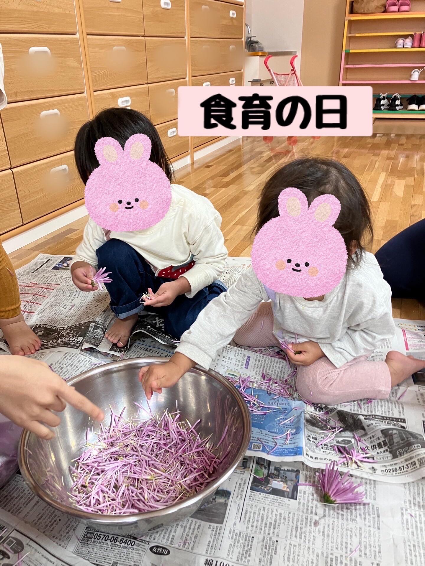 食育の一環として7日と20日にかきのもとの下準備をしました！

かきのもとに興味津々な子どもたちはどんどん花びらを取っていき、あっという間にボウルがいっぱいになりました😊最初はやり方が分からなかった子も、2回目の時は手順を覚えていたようで「お花だ！」と言うとすぐに花びらを取っていました。経験したことがしっかりと記憶に残っているのですね✨

みんなで準備したかきのもとは、おひたしとなますで美味しくいただきました😋